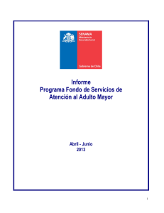 Informe Programa Fondo de Servicios Abril-Junio 2013