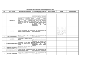 Catálogo de actividades económicas SARE.
