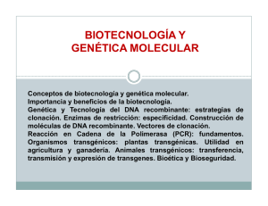 Biotecnología y Genética Molecular