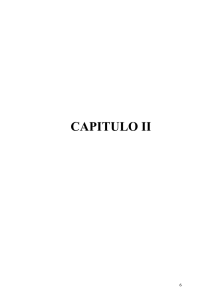 03 REC 97 CAPITULO II REV_LITERATURA