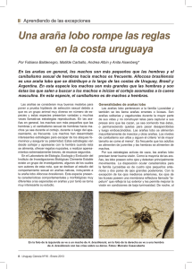 Leer PDF - Uruguay Ciencia