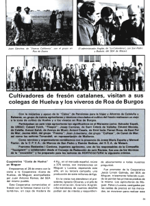 Cultivadores de fresón catalanes, visitan a sus colegas de Huelva y
