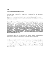 P238 Evolución de la dioecia en el género Rumex R. Navajas