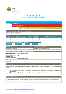 Derecho Jurisdiccional II