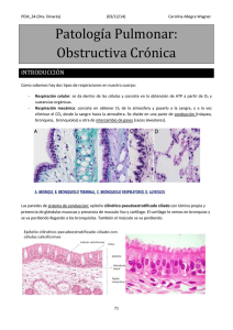 Patología Pulmonar: Obstructiva Crónica
