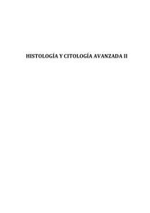 histología y citología avanzada ii