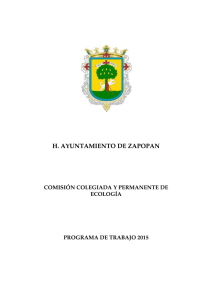 H. AYUNTAMIENTO DE ZAPOPAN - Gobierno Municipal de Zapopan