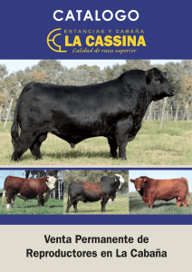 catalogo - La Cassina