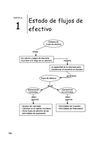 Estado de flujos de efectivo - Web Ediciones Manuel Ibañez