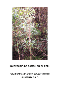 Inventario de Bambú en el Perú