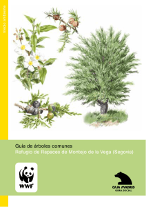 Guía de árboles comunes. Refugio de Rapaces de Montejo