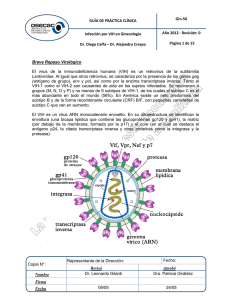 Gin-50 Infección por VIH en Ginecología_v0-12