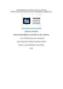UNIVERSIDAD NACIONAL DE SAN MARTIN INSTITUTO DE