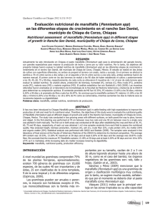 Evaluación nutricional de maralfalfa (Pennisetum spp)