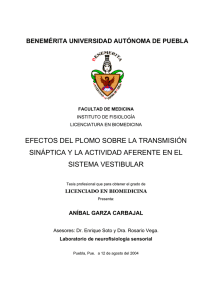 Documento PDF - Instituto de Fisiología