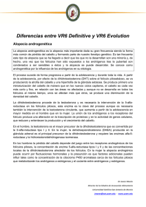 Diferencias entre VR6 Definitive y VR6 Evolution