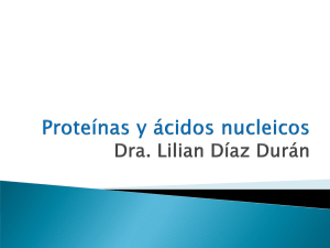Proteínas y ácidos nucleicos - Apoyo para la Fac. de Odontología