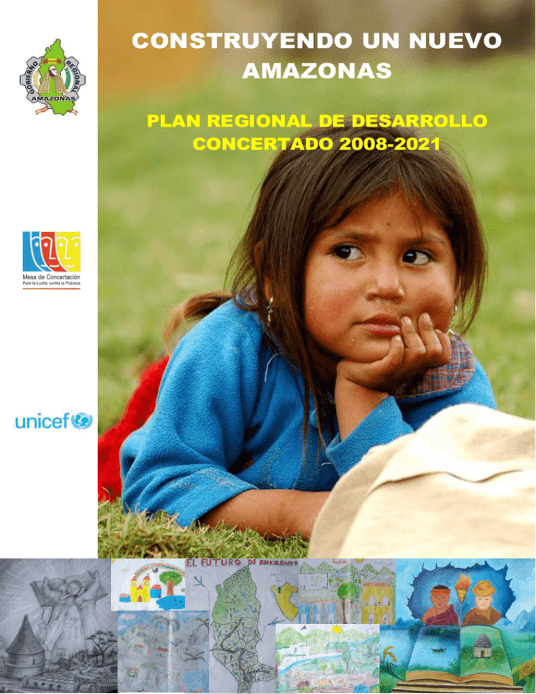 Plan De Desarrollo Concertado De La Región De Amazonas 9712