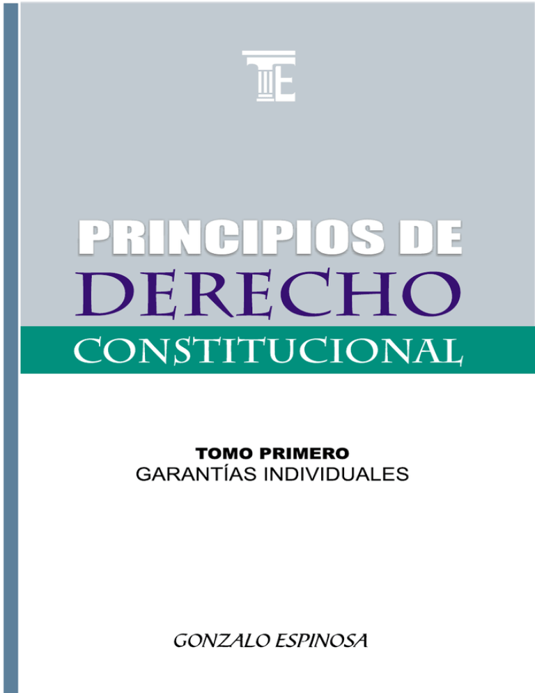 Principios De Derecho Constitucional