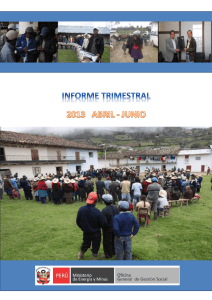 Informe Trimestral (abril - junio 2013)