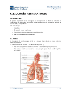 fisiología respiratoria