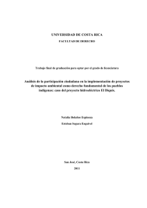 UNIVERSIDAD DE COSTA RICA Análisis de la participación