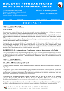 Boletín nº 2 - Gobierno de Extremadura