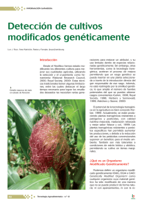 Detección de cultivos modificados genéticamente