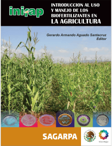 Introducción al Uso y Manejo de los Biofertilizantes en la Agricultura