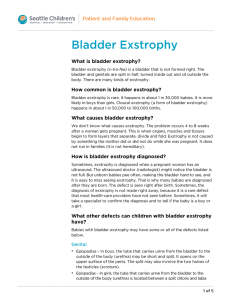 PE174S Bladder Exstrophy - Spanish