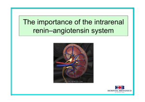 The importance of the intrarenal renin–angiotensin system