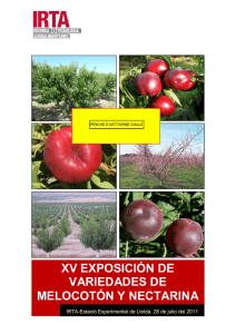 XV EXPOSICIÓN DE VARIEDADES DE MELOCOTÓN Y NECTARINA