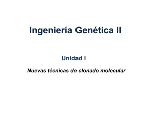 Clonado Molecular - Ingeniería Genética 2
