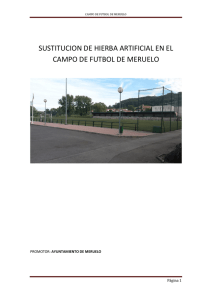 SUSTITUCION DE HIERBA ARTIFICIAL EN EL CAMPO DE FUTBOL