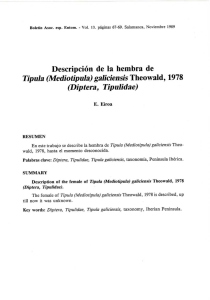 Descripción de la hembra de Típula (Mediotipula) galiciensis