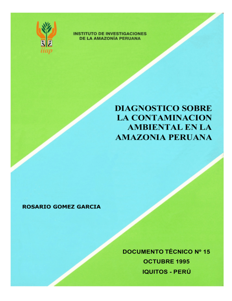 Diagnostico Sobre La Contaminacion Ambiental En