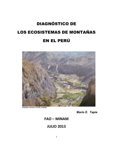 diagnóstico de los ecosistemas de montañas en el perú