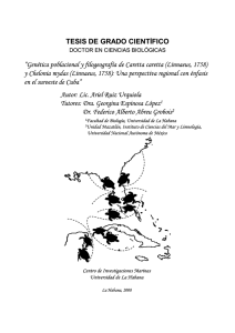 Genética poblacional y filogeografía de Caretta caretta