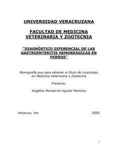 universidad veracruzana facultad de medicina veterinaria y zootecnia