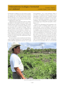 ordenamiento ecológico territorial en calakmul