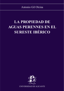 La propiedad de aguas perennes en el sureste iberico