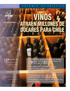 Vinos atraen millones de dólares para Chile