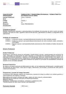 CUALIFICACIÓN PROFESIONAL FABRICACIÓN Y