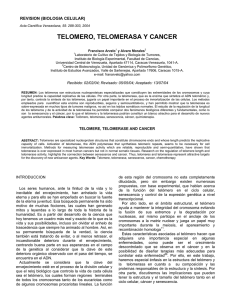 telomero, telomerasa y cancer