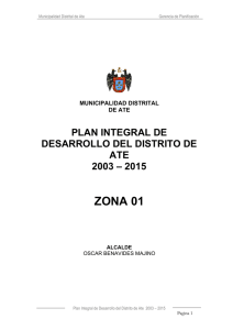 lineamientos del plan integral - Municipalidad Distrital de Ate