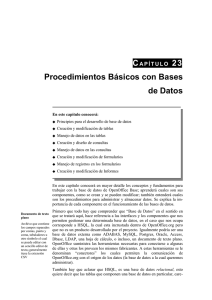 CAPÍTULO 23 Procedimientos Básicos con Bases de Datos