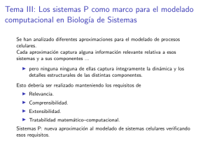 Tema III: Los sistemas P como marco para el modelado
