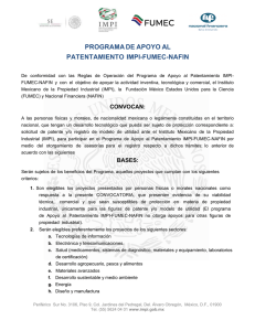 programa de apoyo al patentamiento impi-fumec-nafin