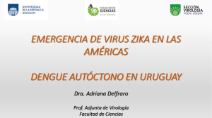 emergencia de virus zika en las américas dengue autóctono en