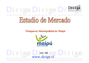 Estudio Mercado Municipalidad Maipu